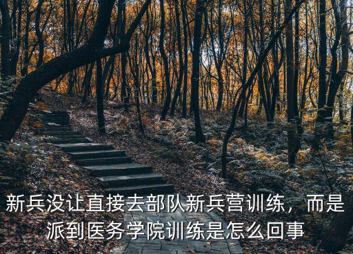 新兵沒讓直接去部隊新兵營訓練，而是派到醫務學院訓練是怎么回事