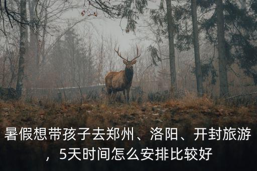 暑假想帶孩子去鄭州、洛陽、開封旅游，5天時間怎么安排比較好