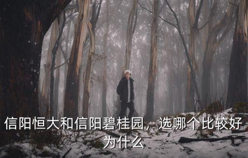 信陽恒大和信陽碧桂園，選哪個比較好為什么