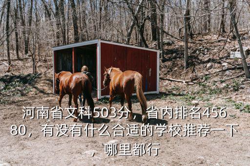 502在河南省的排名是多少,省內排名45680