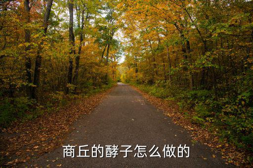商丘的酵子怎么做,商丘的酵子怎么做的