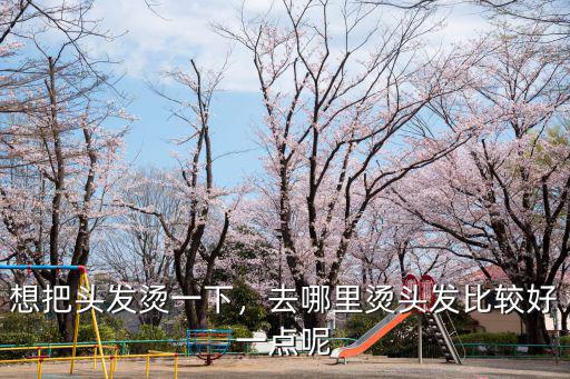 巴中哪里燙頭發,去哪里燙頭發比較好一點呢