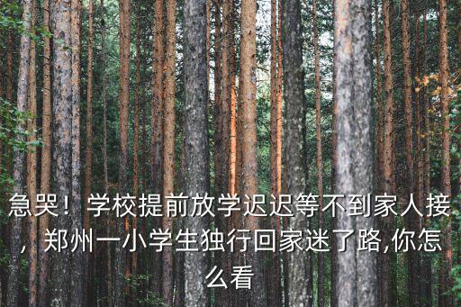 鄭州小學生多少人,鄭州一小學生獨行回家迷了路