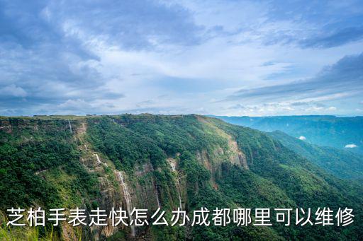 成都哪里可以翻新手表,成都哪里可以維修