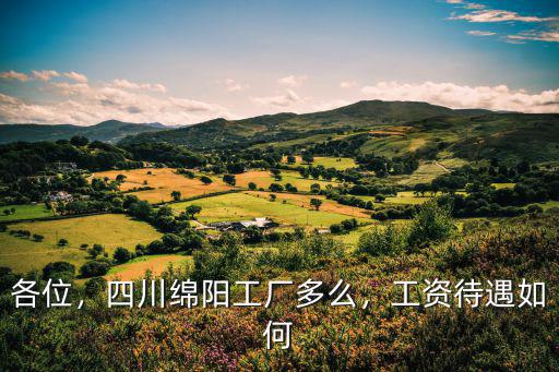 四川綿陽京東方在哪里,四川綿陽工廠多么