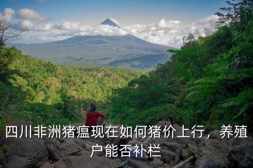 四川非洲豬瘟現在如何豬價上行，養殖戶能否補欄