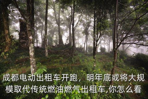 成都出租車下線哪里有賣,成都電動出租車開跑