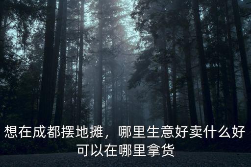 遂寧地攤在哪里擺,我在村上擺個地攤能掙到錢不