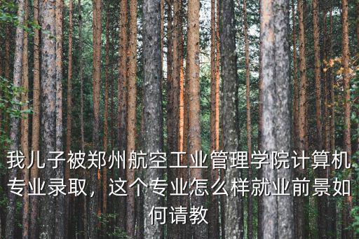 鄭州學院航空怎么樣,鄭州航空工業(yè)管理學院怎么樣