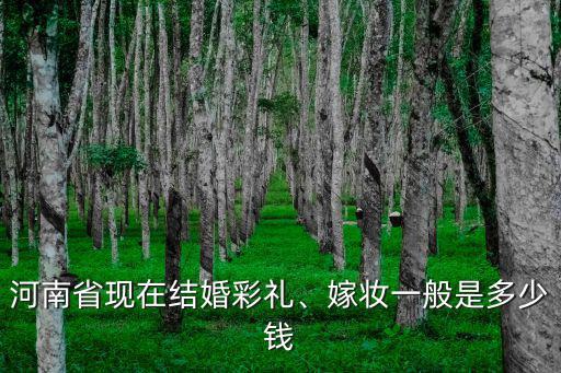 河南省現(xiàn)在結(jié)婚彩禮、嫁妝一般是多少錢(qián)