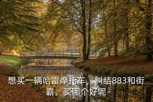 想買一輛哈雷摩托車，糾結(jié)883和街霸，買哪個(gè)好呢