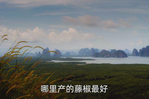 綿陽哪里有種植藤椒,哪里產的藤椒最好
