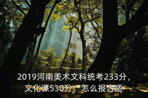 2019河南美術文科統考233分，文化課530分，怎么報合適