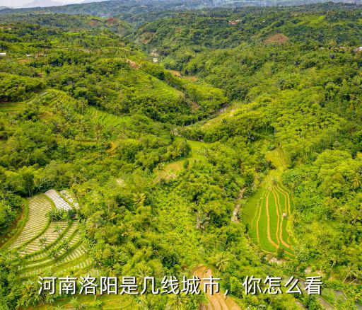 河南洛陽是幾線城市，你怎么看