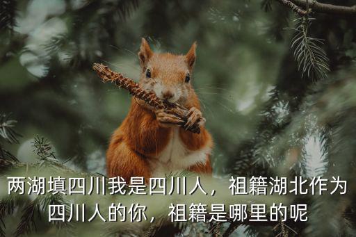 我是四川的你是哪里的,祖籍是哪里的呢