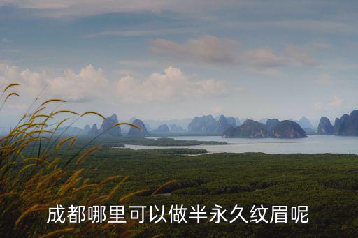成都哪里可以學手工皮藝制作,成都哪里可以做半永久紋眉呢