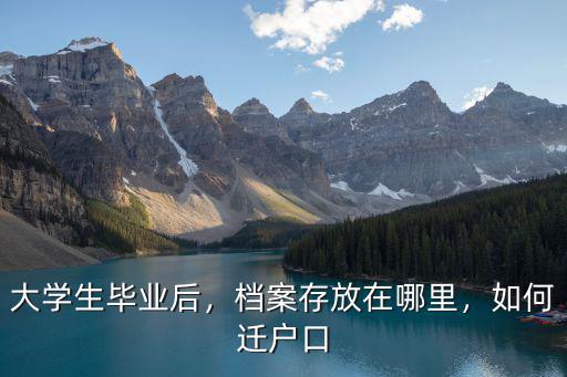 南充大學生檔案放在哪里,檔案存放在哪里