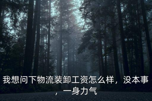 南陽(yáng)物流裝卸工怎么樣,在物流干裝卸工怎么樣