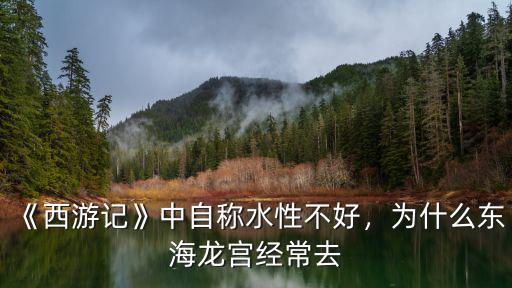 綿陽東海龍宮在哪里,為什么會在東海龍宮