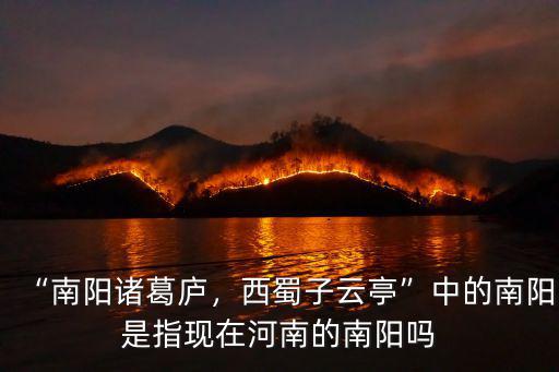 “南陽諸葛廬，西蜀子云亭”中的南陽是指現在河南的南陽嗎