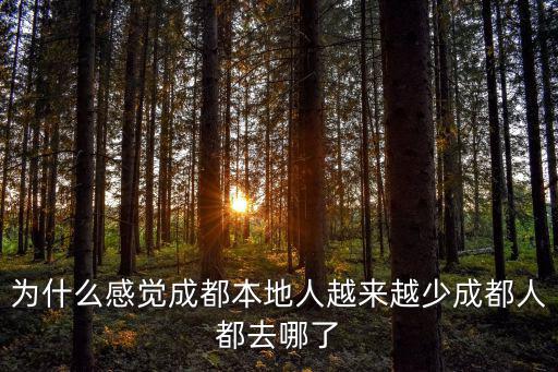 為什么感覺成都本地人越來越少成都人都去哪了