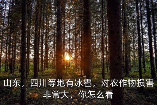 山東，四川等地有冰雹，對農(nóng)作物損害非常大，你怎么看