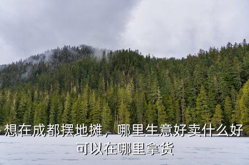 想在成都擺地?cái)偅睦锷夂觅u什么好可以在哪里拿貨