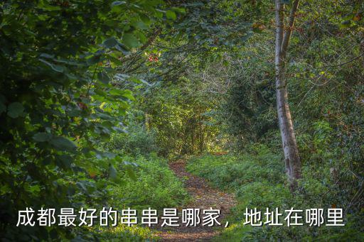 成都在哪里進魷魚串串,成都哪家串串最巴適正宗