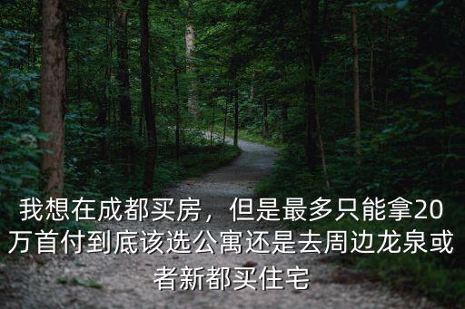 成都老房子哪里最多,成都市區(qū)98年的破爛老房子