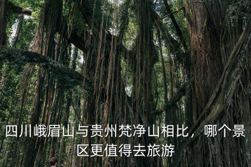 峨眉山在哪里旅游好玩,峨眉山和梵凈山哪里好玩些