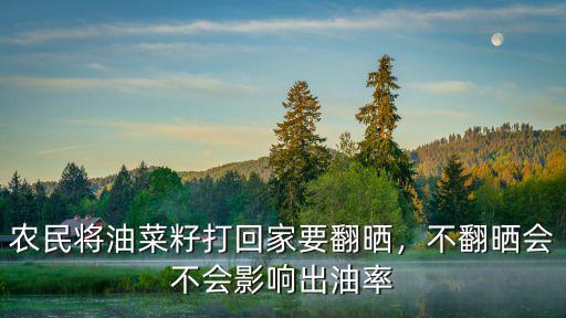 四川油菜籽哪里出油率高,農村油菜籽壓榨出油率高嗎