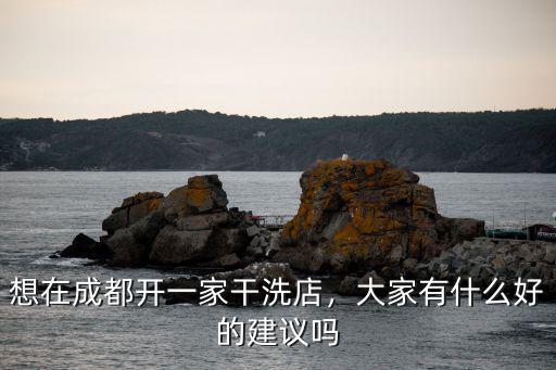 成都最大的干洗店在哪里,想在成都開一家干洗店