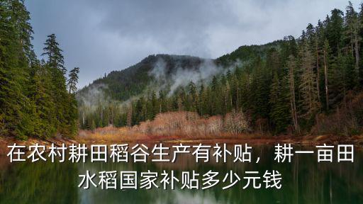 南陽(yáng)水稻補(bǔ)貼每畝多少錢(qián),南陽(yáng)市的糧補(bǔ)每畝多少錢(qián)