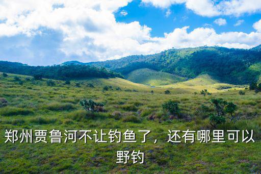 鄭州市賈魯河釣魚(yú)去哪里,鄭州賈魯河不讓釣魚(yú)了