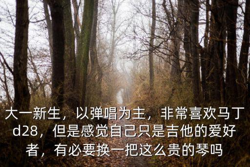 大一新生，以彈唱為主，非常喜歡馬丁d28，但是感覺自己只是吉他的愛好者，有必要換一把這么貴的琴嗎
