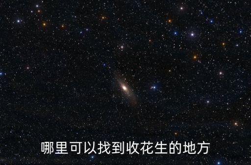 哪里可以找到收花生的地方