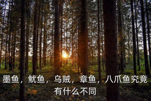 墨魚，魷魚，烏賊，章魚，八爪魚究竟有什么不同