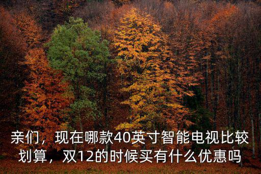 親們，現在哪款40英寸智能電視比較劃算，雙12的時候買有什么優惠嗎