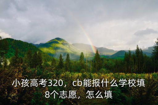河南寶豐高考320分怎么選學(xué)校,小孩高考320