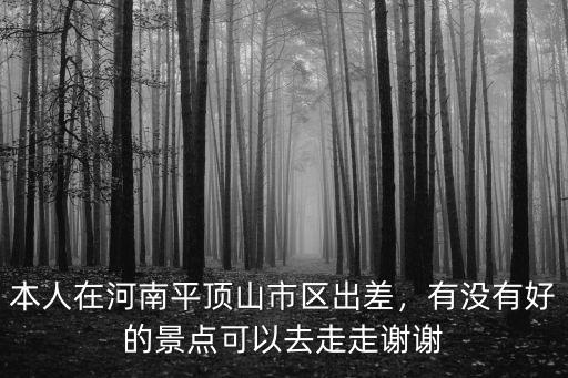 出差去河南怎么樣,第一次去河南
