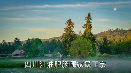 四川江油肥腸哪家最正宗