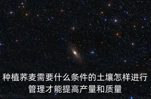 種植蕎麥需要什么條件的土壤怎樣進行管理才能提高產量和質量