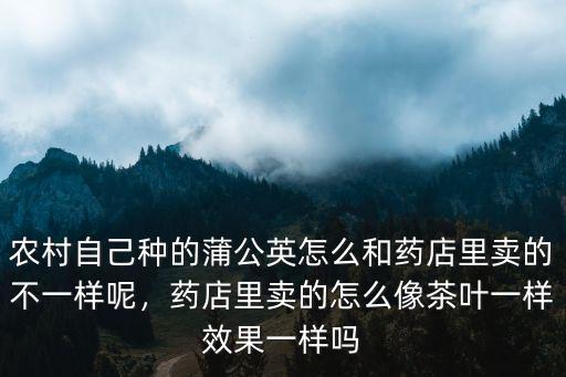 農村自己種的蒲公英怎么和藥店里賣的不一樣呢，藥店里賣的怎么像茶葉一樣效果一樣嗎