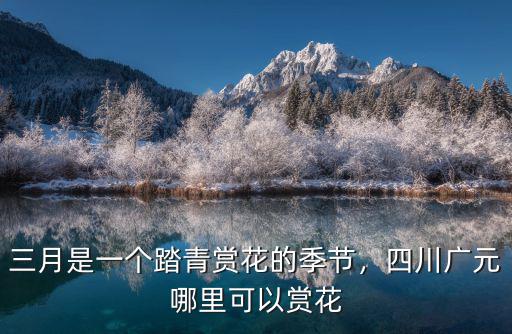三月是一個踏青賞花的季節，四川廣元哪里可以賞花