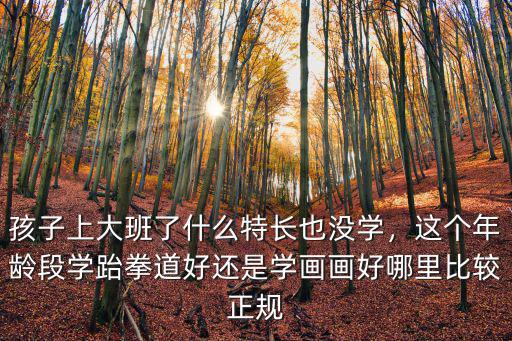 孩子上大班了什么特長也沒學(xué)，這個年齡段學(xué)跆拳道好還是學(xué)畫畫好哪里比較正規(guī)