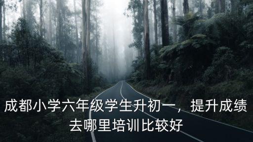 成都小學(xué)六年級(jí)學(xué)生升初一，提升成績(jī)?nèi)ツ睦锱嘤?xùn)比較好