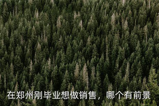 鄭州公司做業務怎么樣,怎么樣可以在鄭州月薪過萬