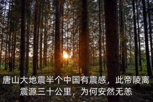 唐山大地震有多少房子沒塌,唐山大地震半個中國有震感