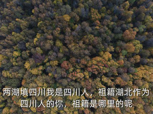 劉銀川是四川哪里人,祖籍是哪里的呢