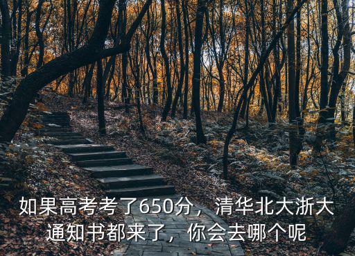 如果高考考了650分，清華北大浙大通知書都來了，你會去哪個呢